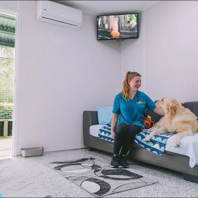 AAA Pet Resort